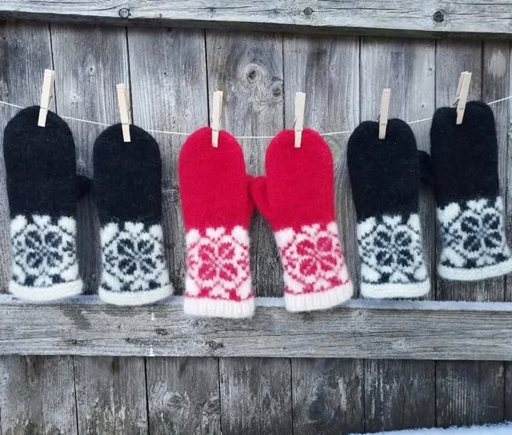 PolarDrøm tova votter