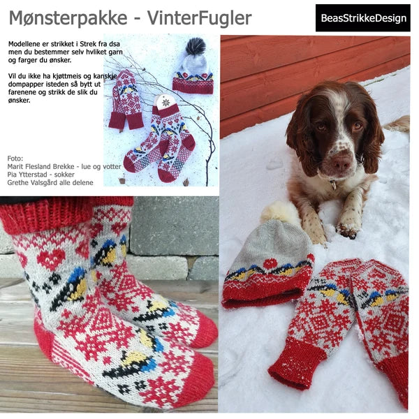 VinterFugler møsnterpakke av sokker lue og votter med selbuinspirert mønster med kjøttmeis på